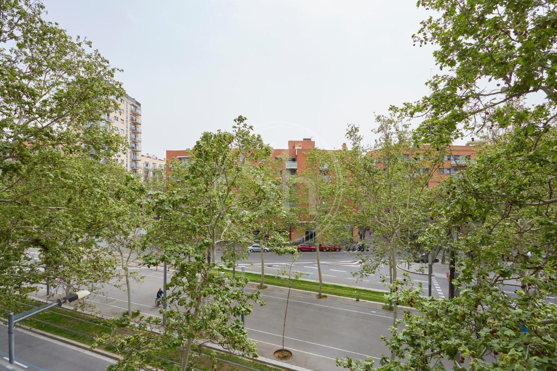 Comodo En Diagonal Barcelona