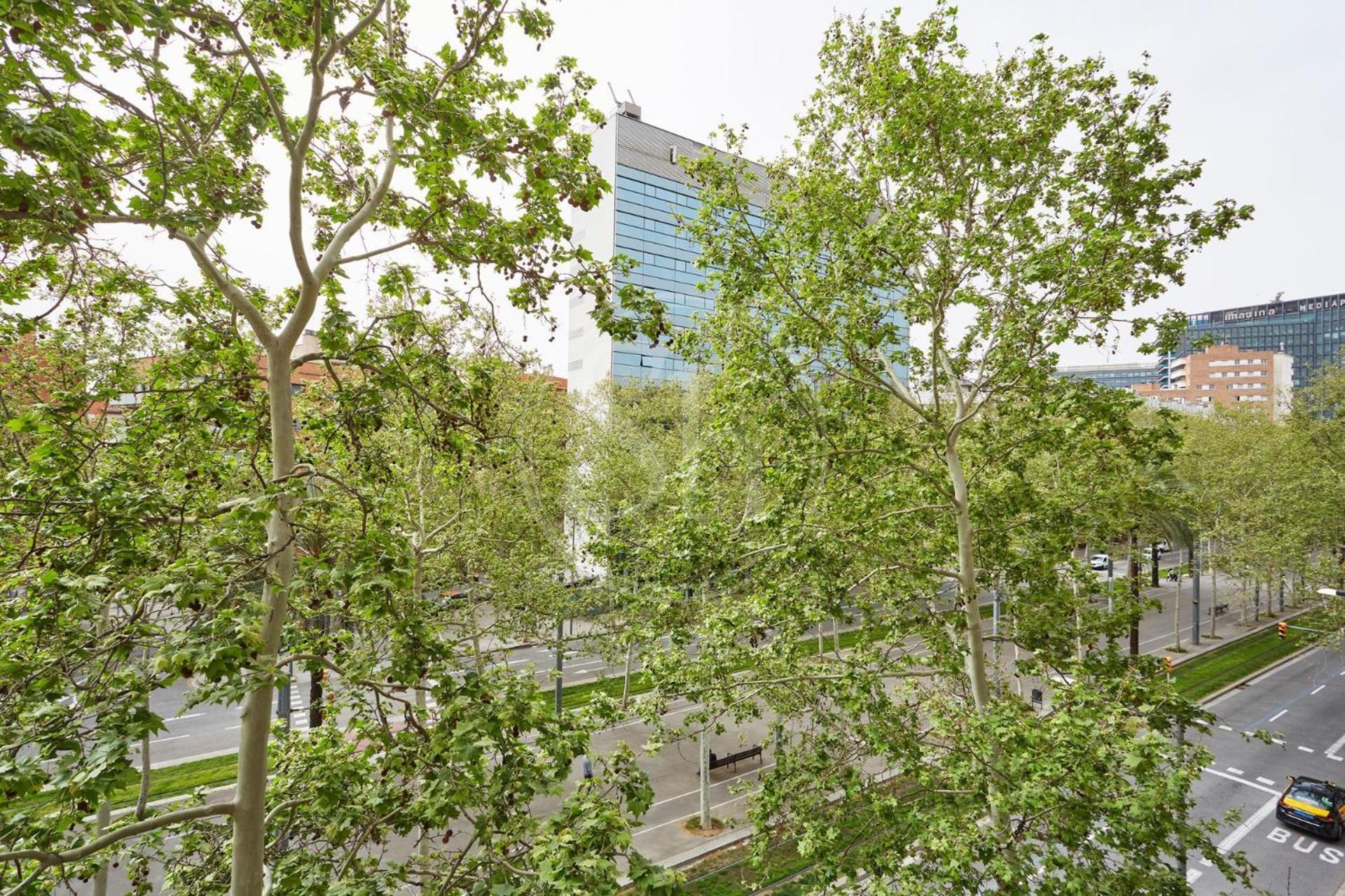 Comodo En Diagonal Barcelona